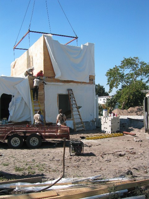 IMG_1355.jpgw480h640